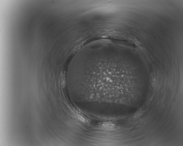 X0000080130471200612221902