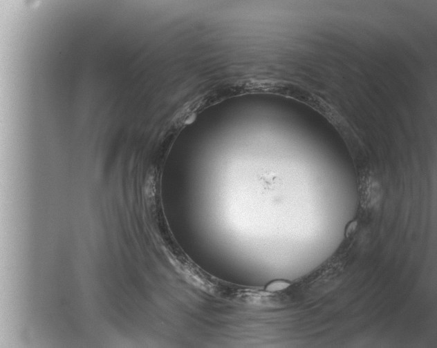 X0000080130472200612221902