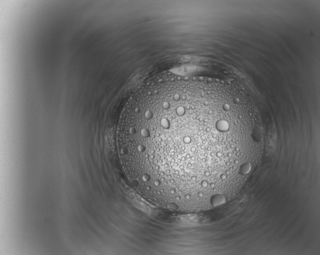 X0000080130473200612221902