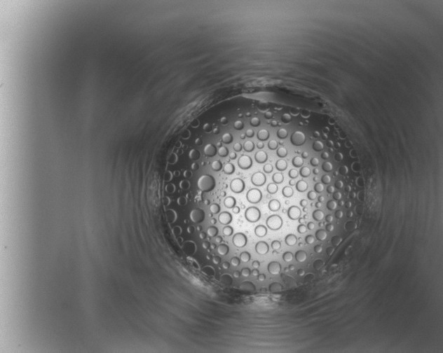 X0000080130474200612221902