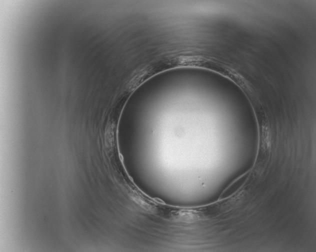 X0000080130475200612221902