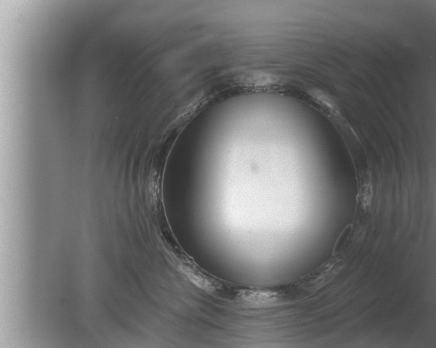 X0000080130476200612221902