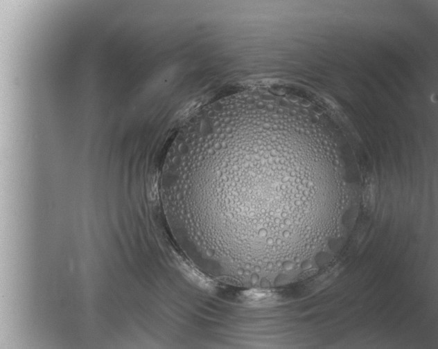 X0000080130477200612221902