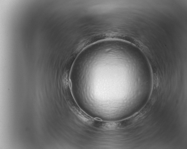 X0000080130479200612221902