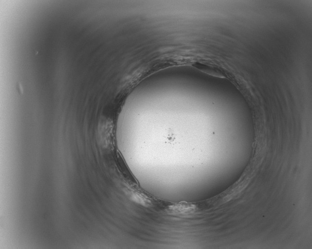 X0000080130480200612221902