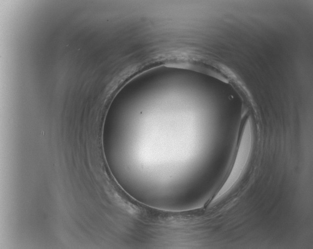 X0000080130481200612221901