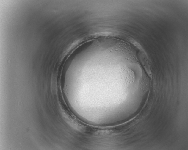 X0000080130482200612221901