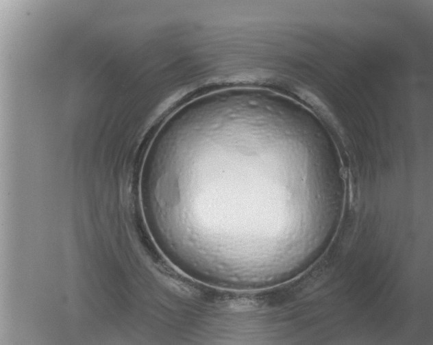 X0000080130483200612221901