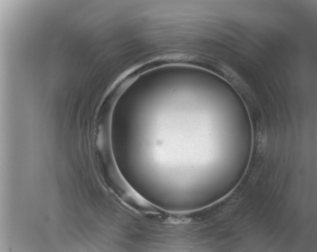 X0000080130484200612221901