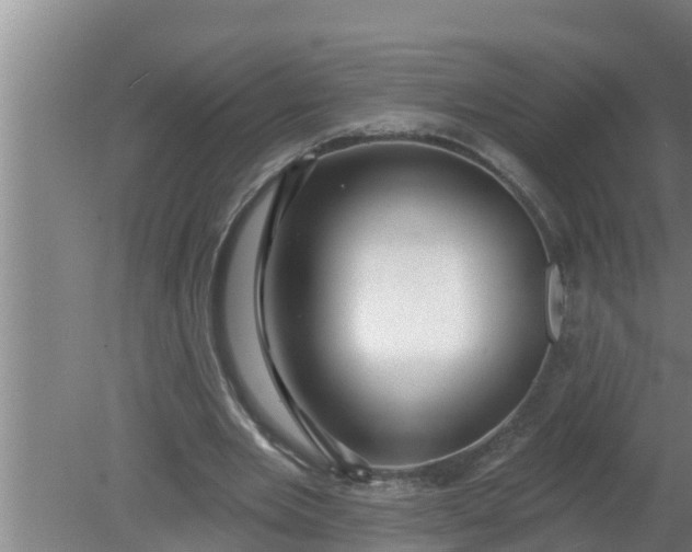 X0000080130485200612221901