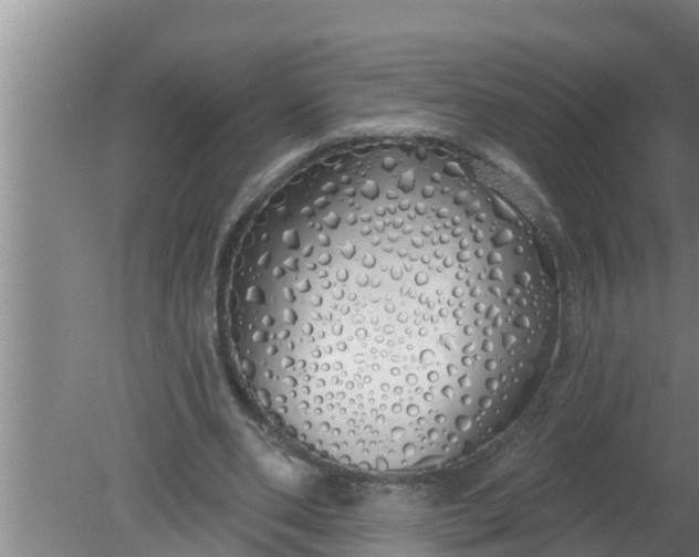 X0000080130486200612221901