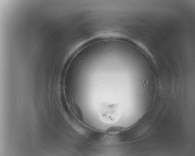 X0000080130487200612221901