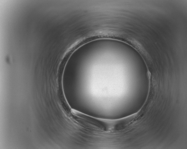 X0000080130488200612221901