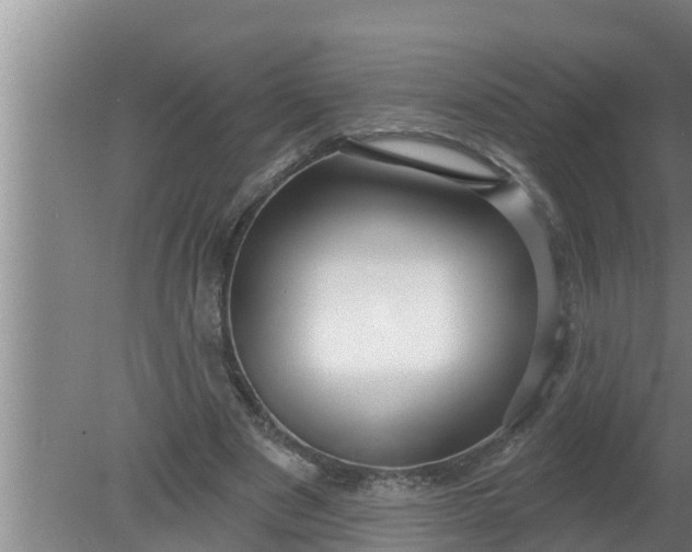 X0000080130489200612221901