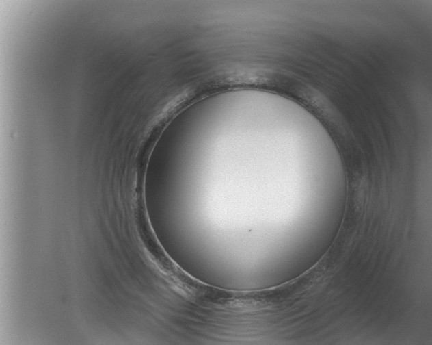 X0000080130490200612221901