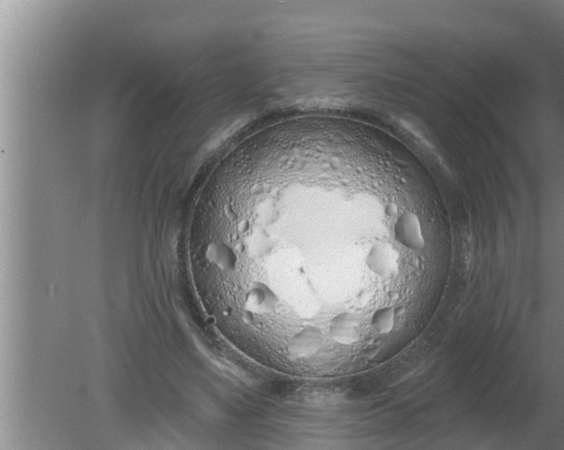 X0000080130491200612221901