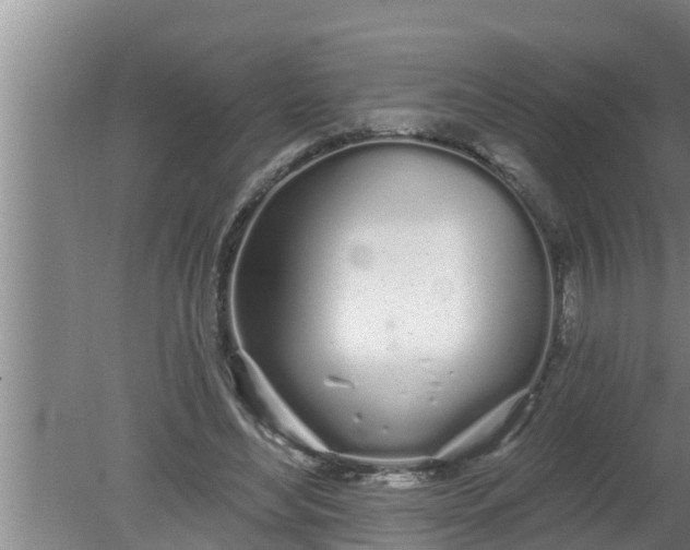 X0000080130492200612221901