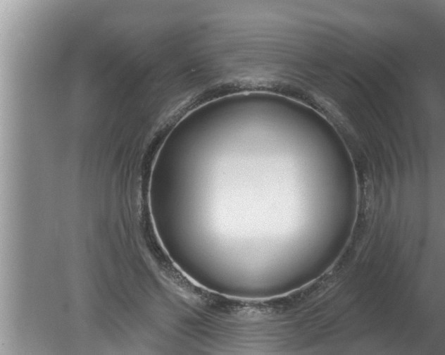 X0000080130494200612221901