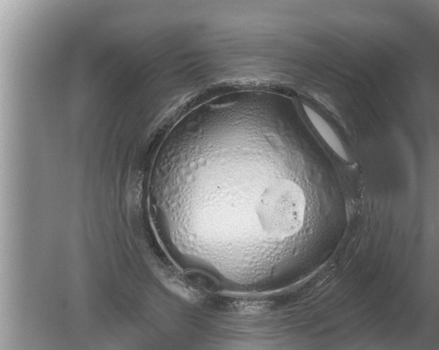 X0000080130495200612221901