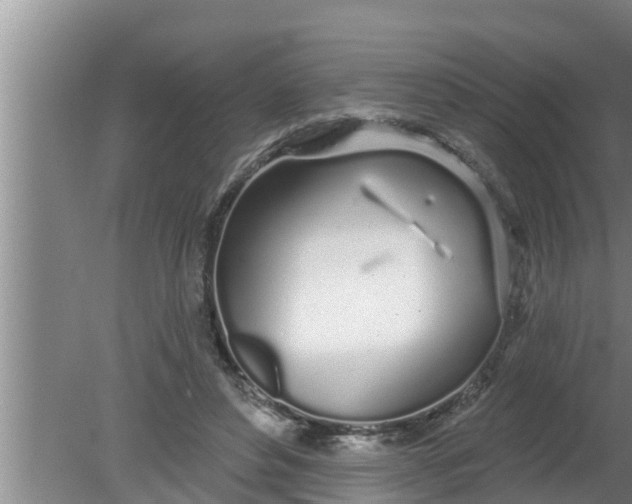 X0000080130496200612221901