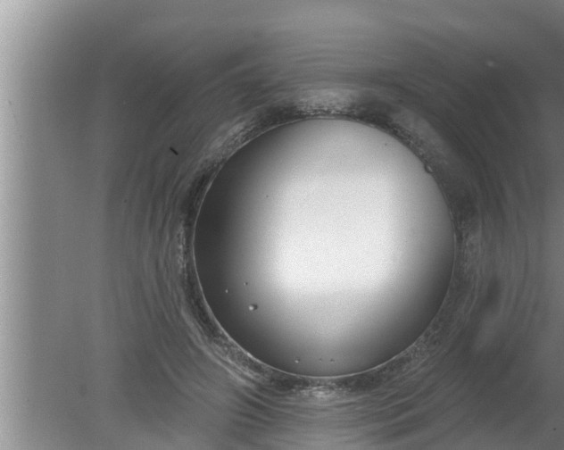 X0000080130498200612221901