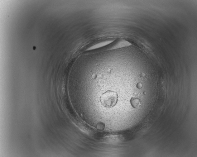 X0000080130499200612221901