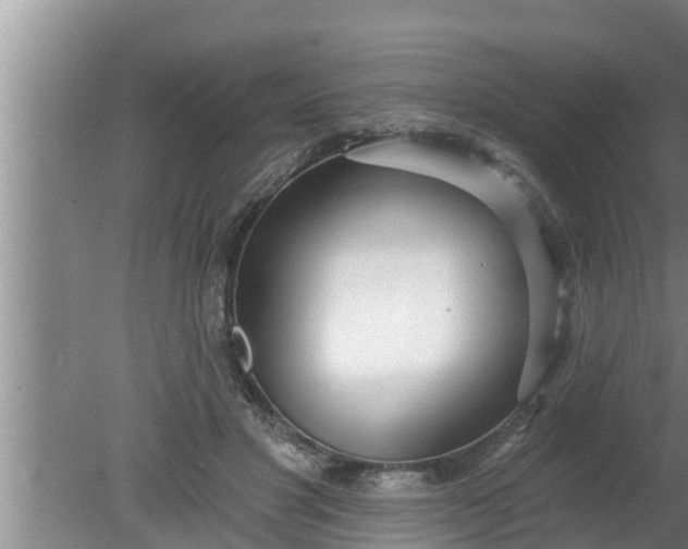 X0000080130501200612221901