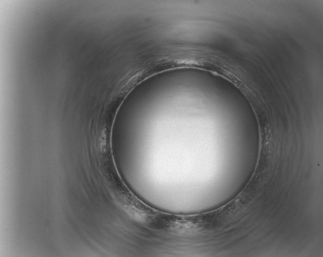 X0000080130502200612221901