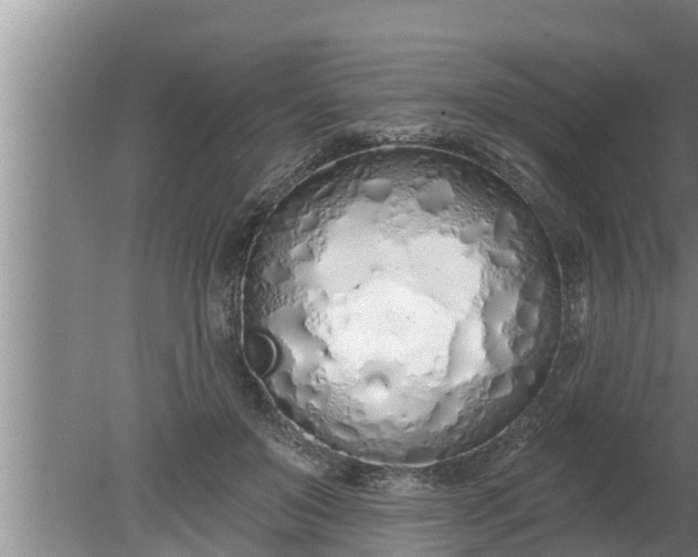 X0000080130503200612221901