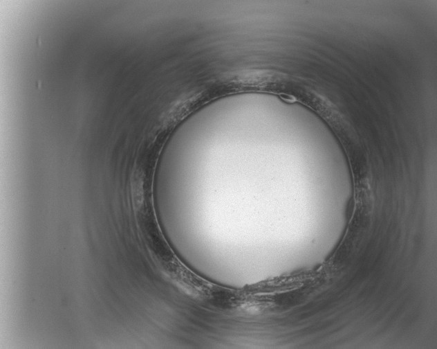 X0000080130504200612221901