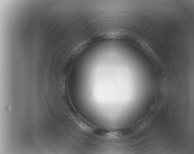 X0000080130505200612221901