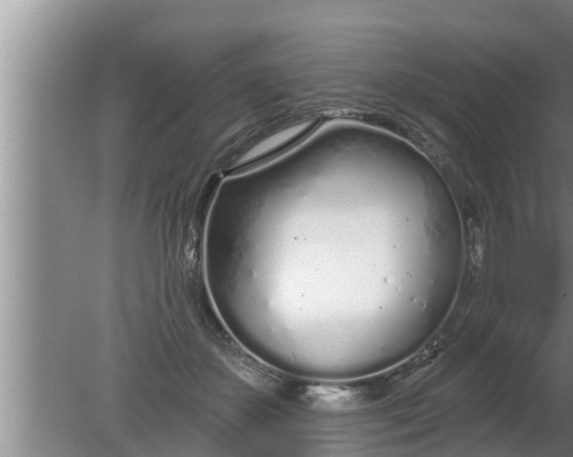 X0000080130507200612221901