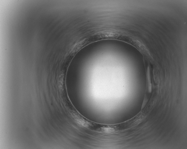 X0000080130509200612221901