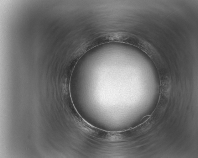 X0000080130510200612221901