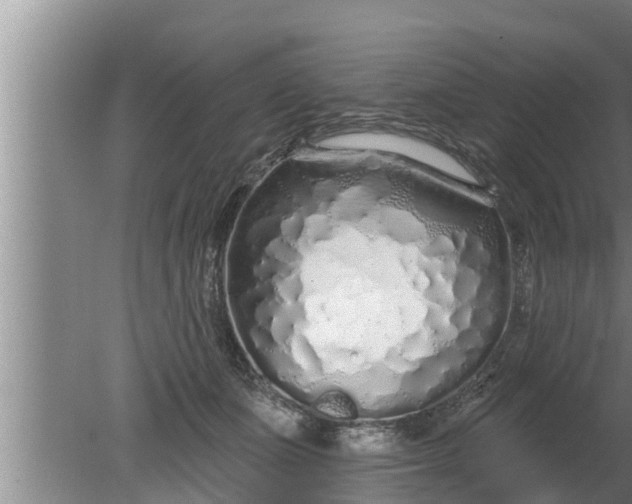 X0000080130511200612221900