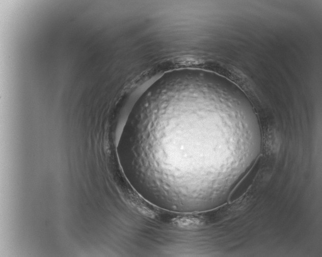 X0000080130512200612221900