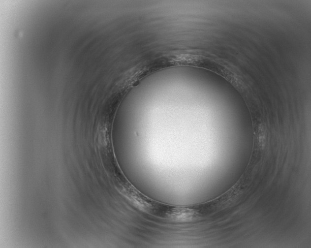 X0000080130514200612221900