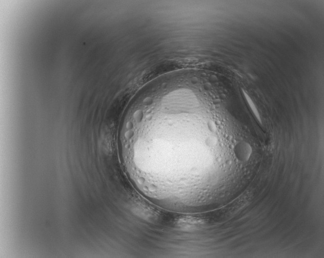 X0000080130515200612221900