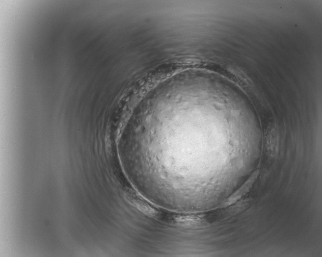 X0000080130516200612221900