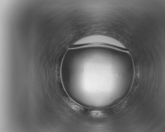 X0000080130519200612221900