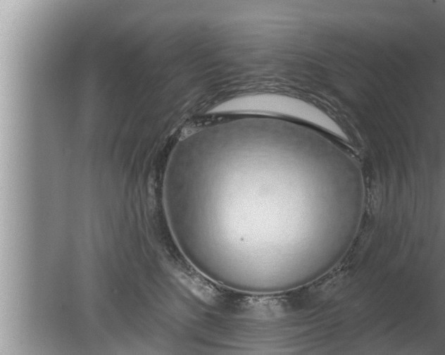 X0000080130520200612221900