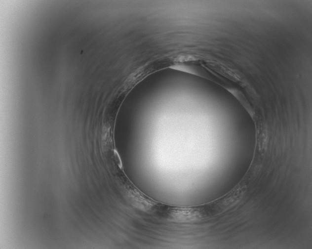 X0000080130521200612221900