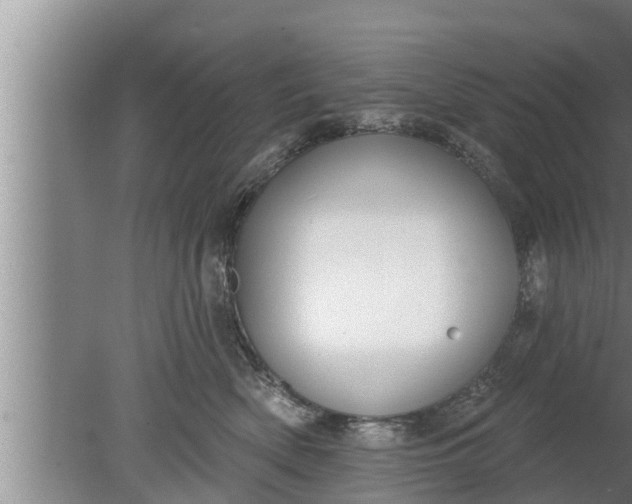 X0000080130522200612221900