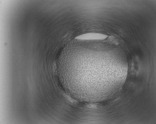 X0000080130523200612221900