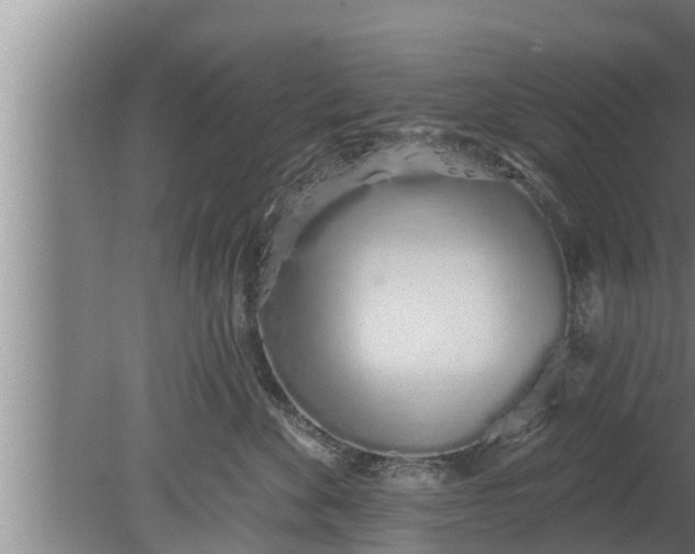 X0000080130524200612221900