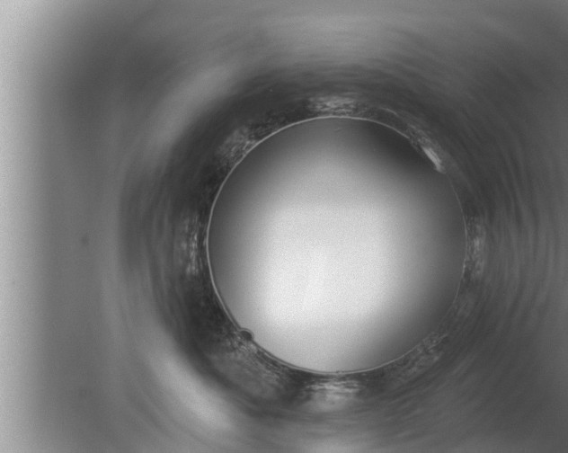 X0000080130525200612221900