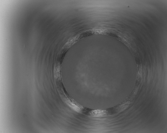 X0000080130526200612221900