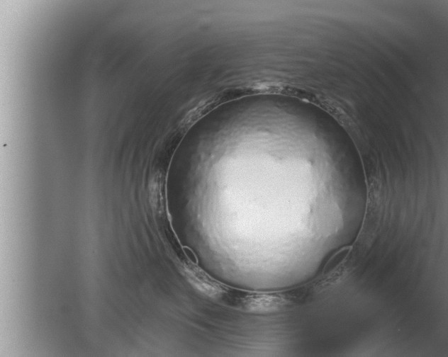 X0000080130527200612221900