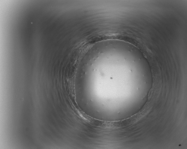 X0000080130528200612221900