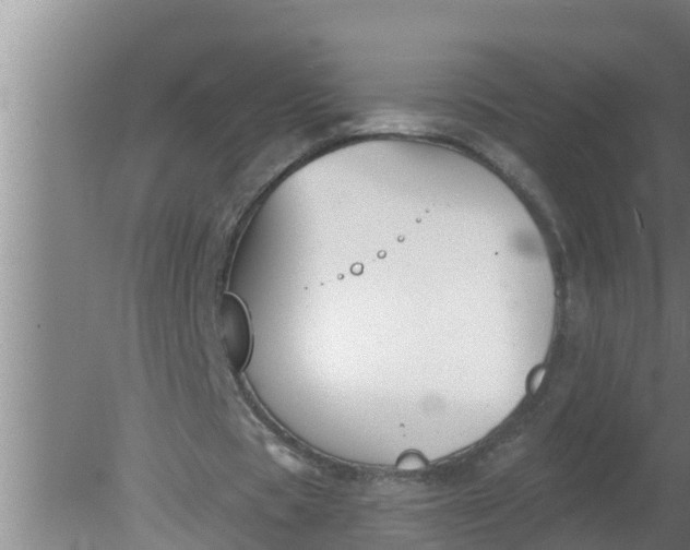 X0000080130529200612221859